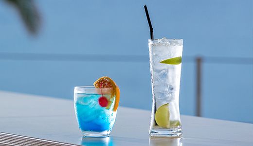 Horizon Blu Project - Impact